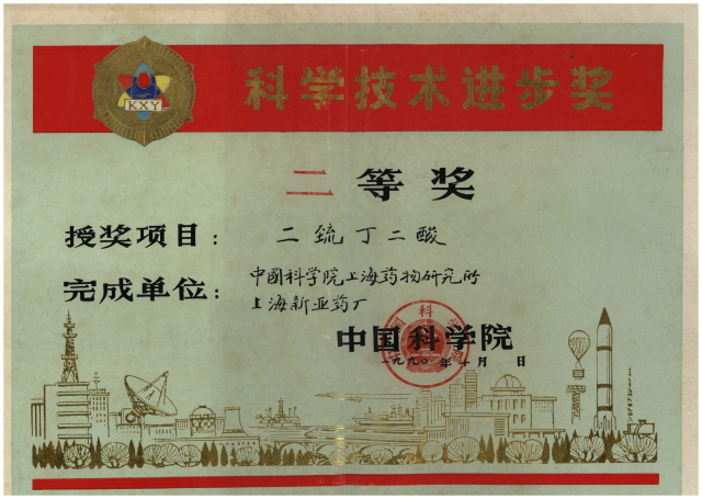 1990年10月，“二巯丁二酸”项目获中国科学院科学技术进步奖二等奖
